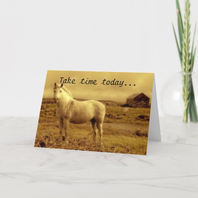 Horse Around Birthday Kort (Framsida)