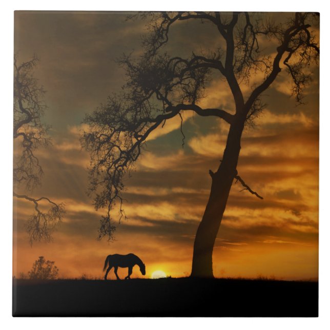 Horse Art Tile Kakelplatta (Framsidan)