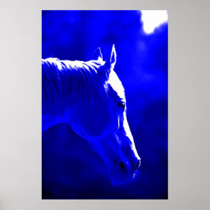 Horse at night - Horse in Moonlight Print Poster
