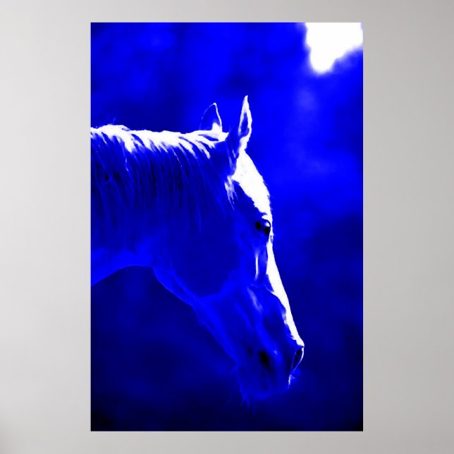 Horse at night - Horse in Moonlight Print Poster (Framsidan)