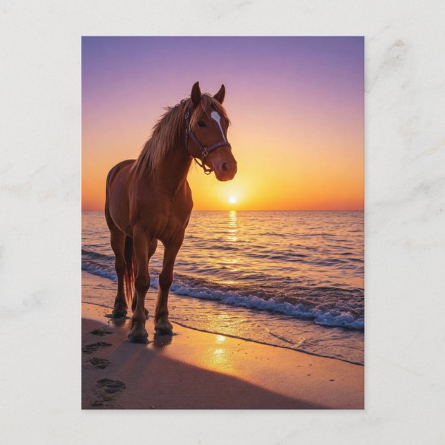 Horse at Sunset on the Beach Coastal Postcard Helg Vykort (Framsida)