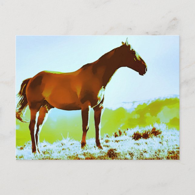 *~* Horse - Backe Mountains AR22 Equine Artistic Vykort (Framsida)