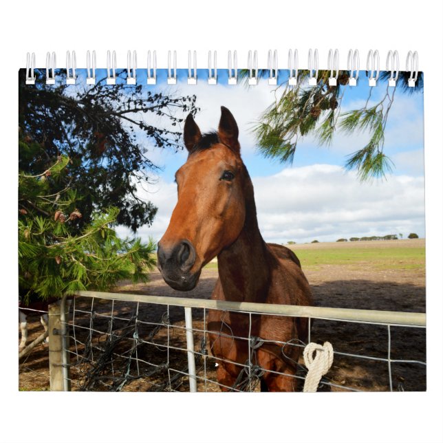 Horse Beauty Kalender (Omslag)