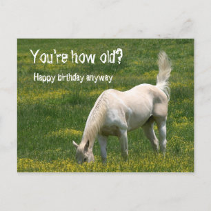 Horse Birthday Vykort
