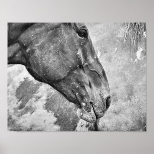 Horse Black and White Land Rustic Farm Stil Poster