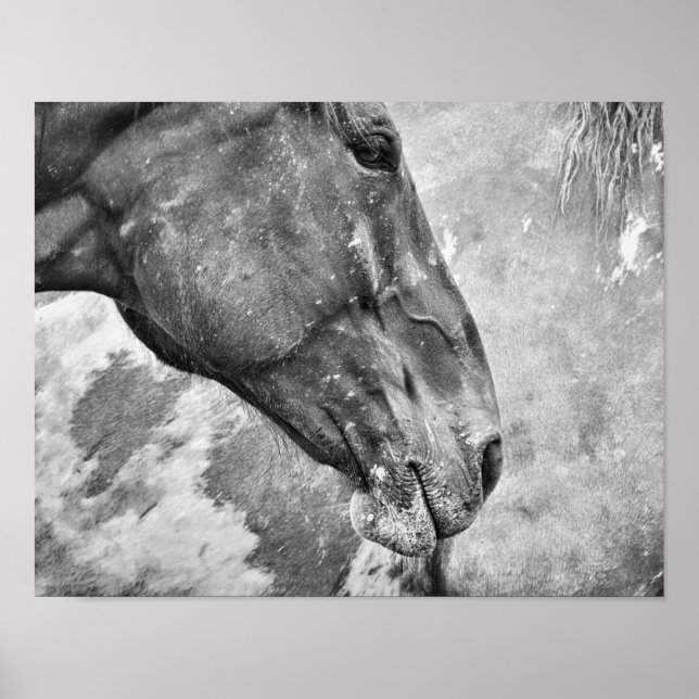 Horse Black and White Land Rustic Farm Stil Poster (Framsidan)