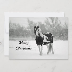 Horse Black and White Snö Photo jul - platt Julkort