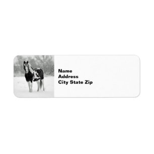 Horse Black and White Snö Photo Returadress Etikett