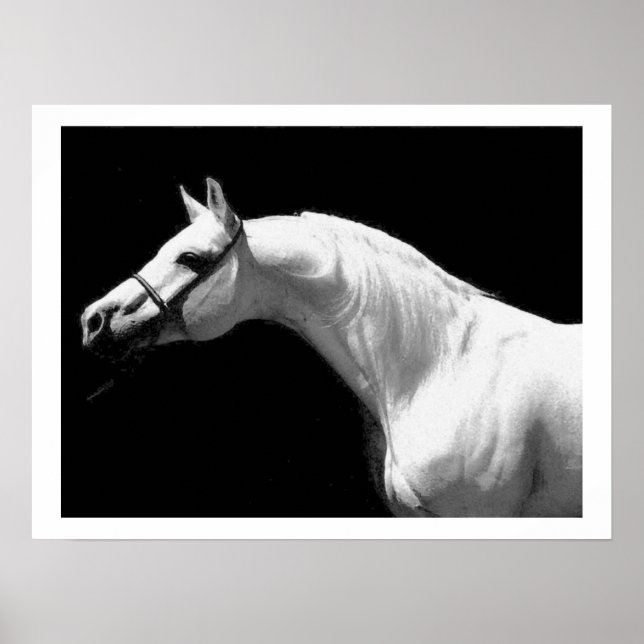 Horse Black & White Poster (Framsidan)