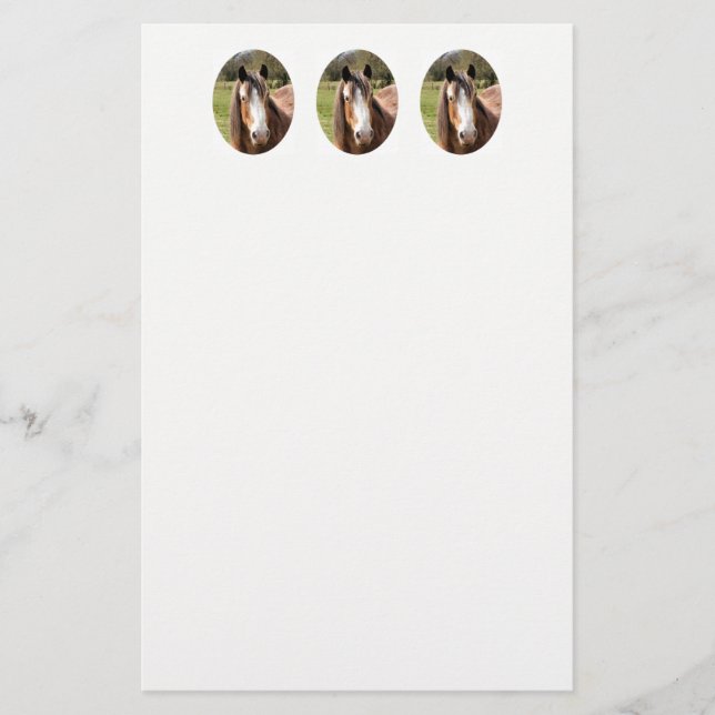 HORSE BREVPAPPER (Framsida)