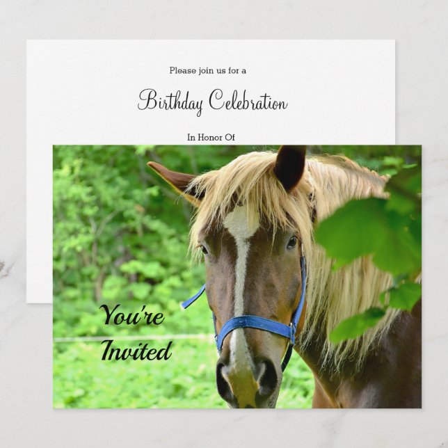 Horse Brown Belgium Draft Photo Birthday Inbjudningar (Fram/baksida)