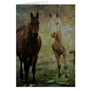 Horse Buddies Grunge Hälsningskort