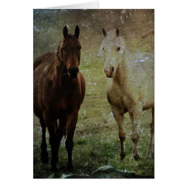 Horse Buddies Grunge Hälsningskort (Framsidan)