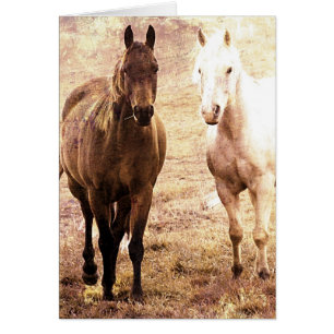 Horse Buddies Hälsningskort