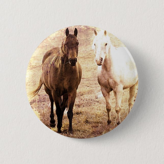 Horse Buddies Sepia Knapp (Framsida)