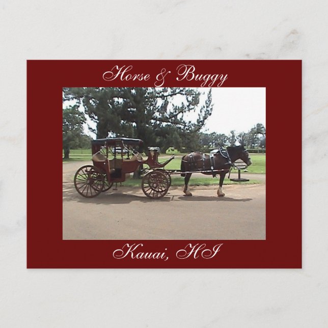 Horse & Buggy, Kauai, HI Vykort (Framsida)