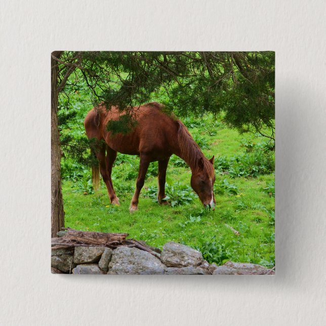 Horse Button Knapp (Framsida)