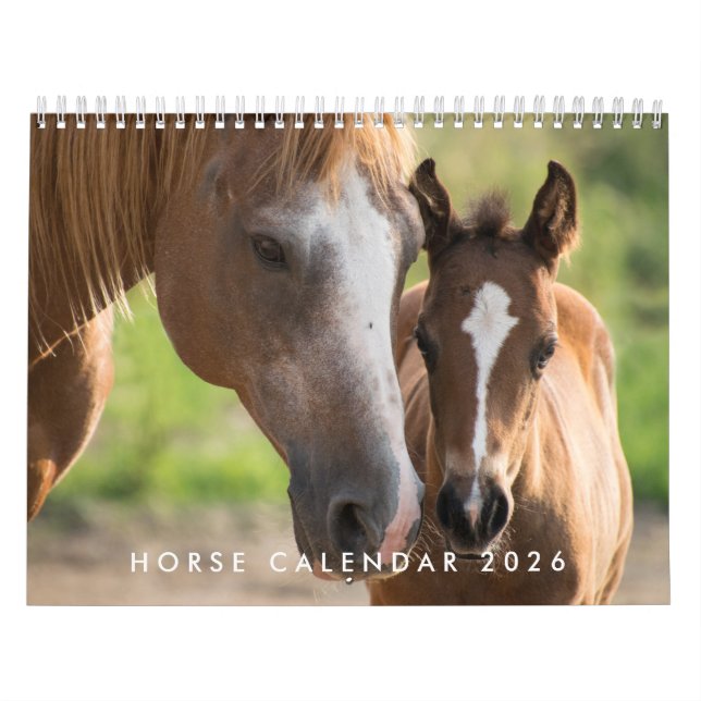 Horse Calendar 2026 with Photos Kalender (Omslag)