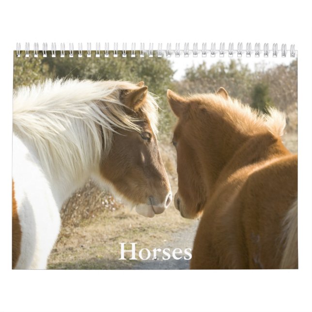 Horse Calendar Kalender (Omslag)