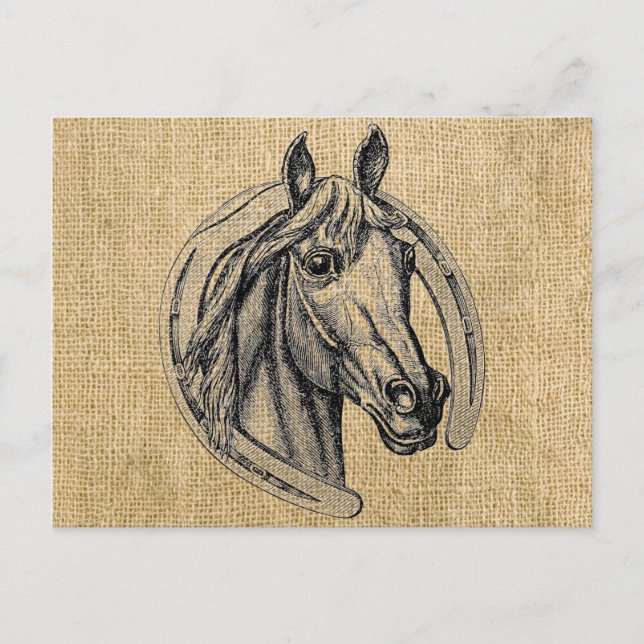 Horse Cameo on Burlap Vykort (Framsida)