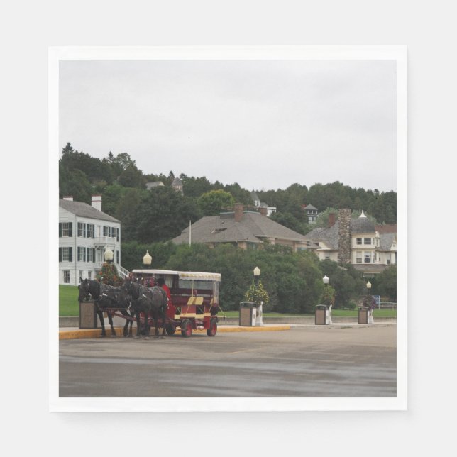 Horse Carriage Mackinac Island Street Pappersservett (Framsidan)