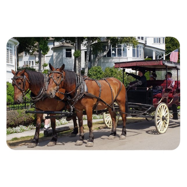 Horse & Carriage on Mackinac Island MI Magnet (Horisontell)