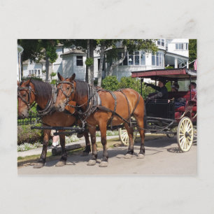 Horse & Carriage on Mackinac Island MI Vykort