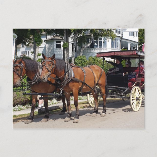 Horse & Carriage on Mackinac Island MI Vykort (Framsida)