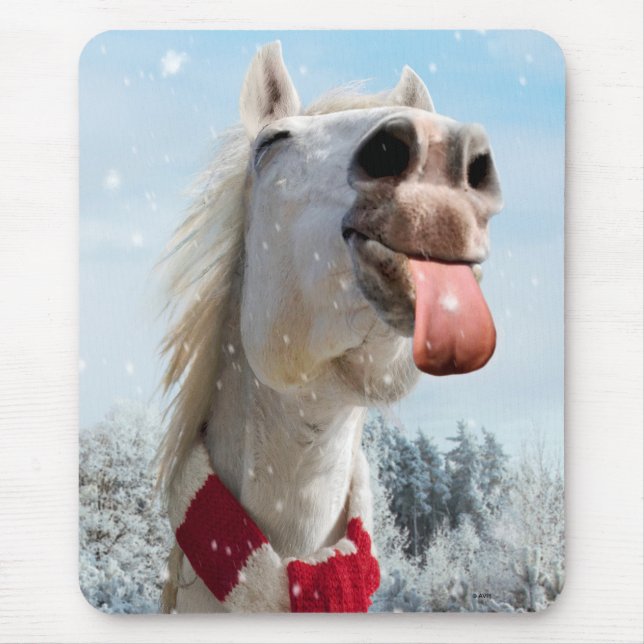 Horse Catching Snowflakes Musmatta (Framsidan)