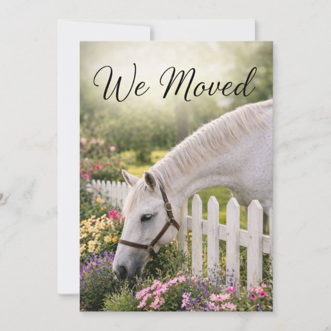 Horse Change of Address  Julkort (Framsida)