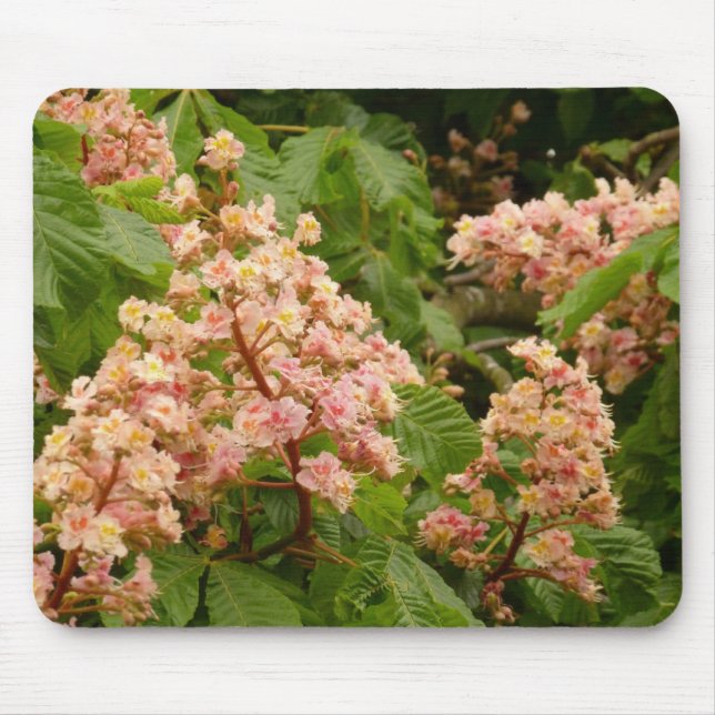 Horse Chestnut Blommar Mousepad Musmatta (Framsidan)