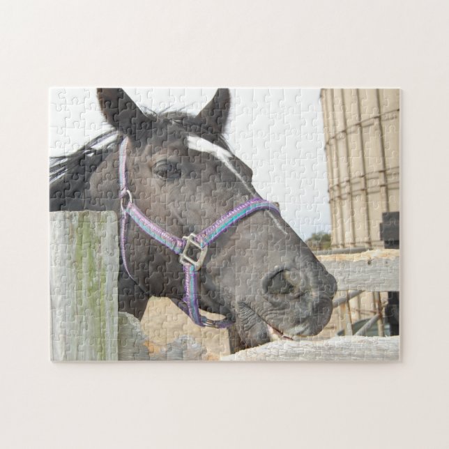 Horse Chewing a Fence Post Pussel (Horisontell)