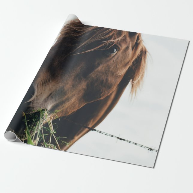 HORSE CHEWING GRASS PRESENTPAPPER (Utrullad)