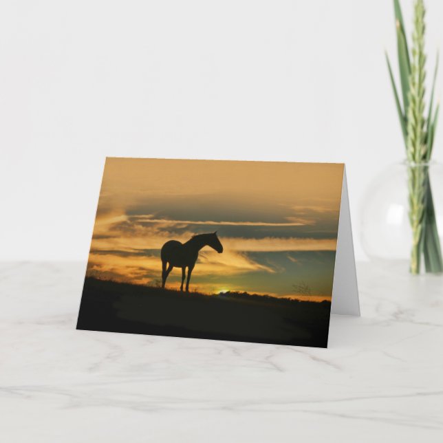 Horse Clouds and Sunset Thinking of You Kort (Framsida)