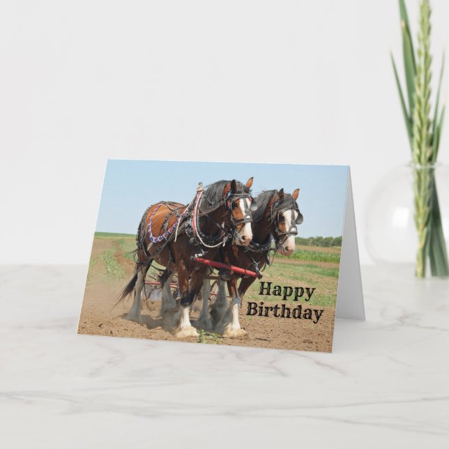Horse Clydesdale Farming Foto Birthday Kort (Framsida)