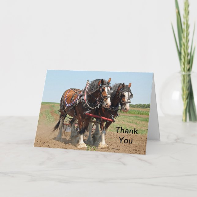 Horse Clydesdale Farming Foto Tack Kort (Framsida)