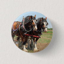 Horse Clydesdale Farming Photo