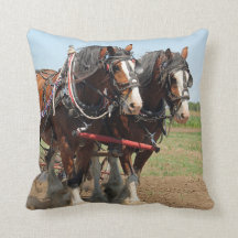 Horse Clydesdale Farming Photo