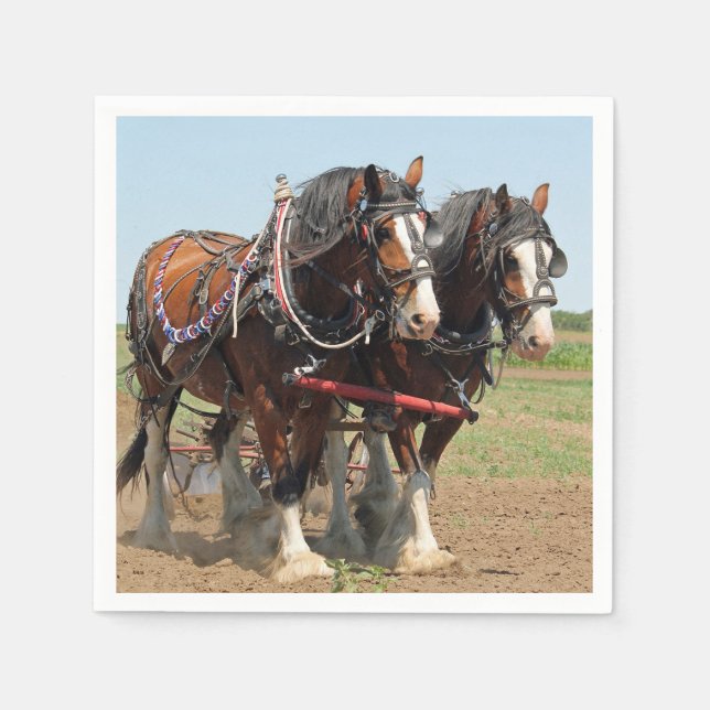 Horse Clydesdale Farming Photo Pappersservett (Framsidan)