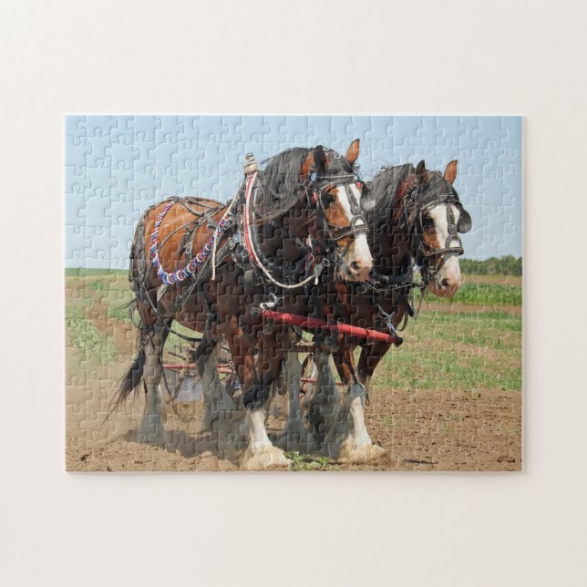 Horse Clydesdale Farming Photo Pussel (Horisontell)