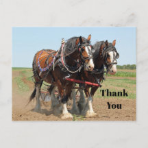 Horse Clydesdale Farming Photo Tack
