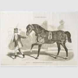 Horse Coachman Ephemera Decoupage Vintage Fransk