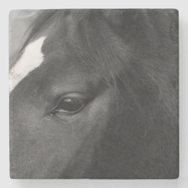 Horse Coercna Stenunderlägg (Framsidan)