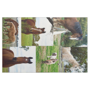 Horse_Collage, Combed Cotton-material (56-tumsbred Tyg
