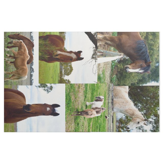 Horse_Collage, Combed Cotton-material (56-tumsbred Tyg (Yard)