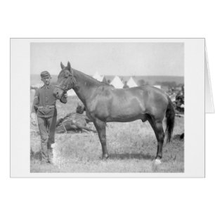 Horse "Comanche", Custers enda överlevande Hälsningskort