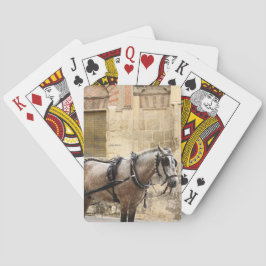 Horse Cordoba Spanien Casinokort