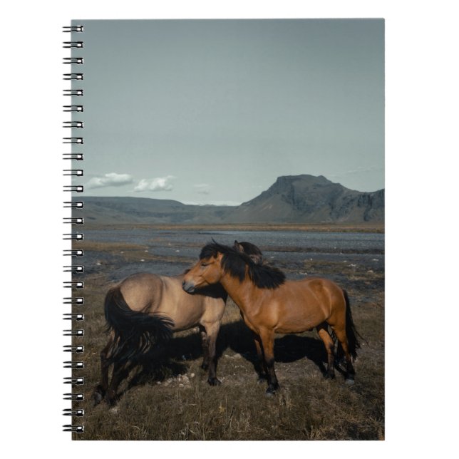 HORSE COUPLE ANTECKNINGSBOK (Framsidan)