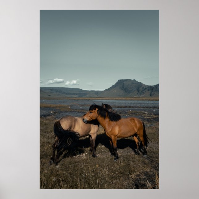 HORSE COUPLE POSTER (Framsidan)