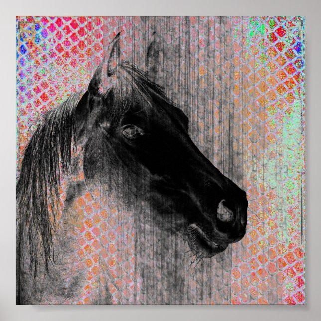 Horse Digital Art Poster (Framsidan)